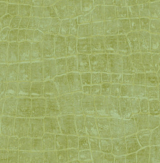 TA20504 Curacao faux crocodile wallpaper from the Tortuga collection by Seabrook Designs