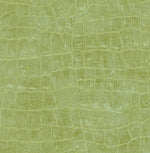 TA20504 Curacao faux crocodile wallpaper from the Tortuga collection by Seabrook Designs
