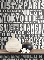 Around the World Black and White Peel and Stick Removable Wallpaper