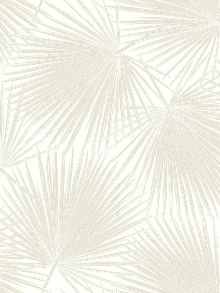 
                  
                    TA20210 aruba palm leaf tropical wallpaper from the Tortuga collection by Seabrook Designs
                  
                