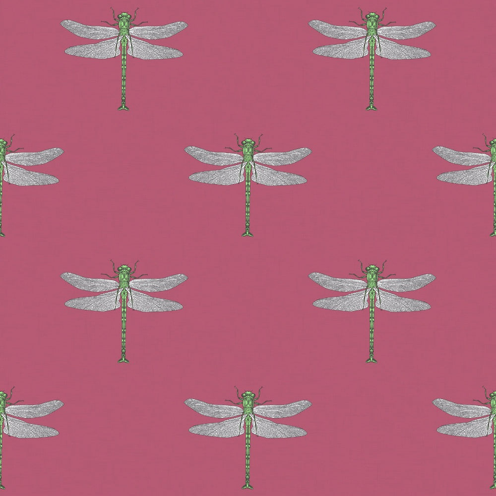 TA20301 Catalina dragonfly wallpaper from the Tortuga collection by Seabrook Designs