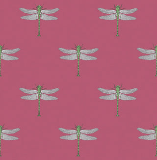 TA20301 Catalina dragonfly wallpaper from the Tortuga collection by Seabrook Designs