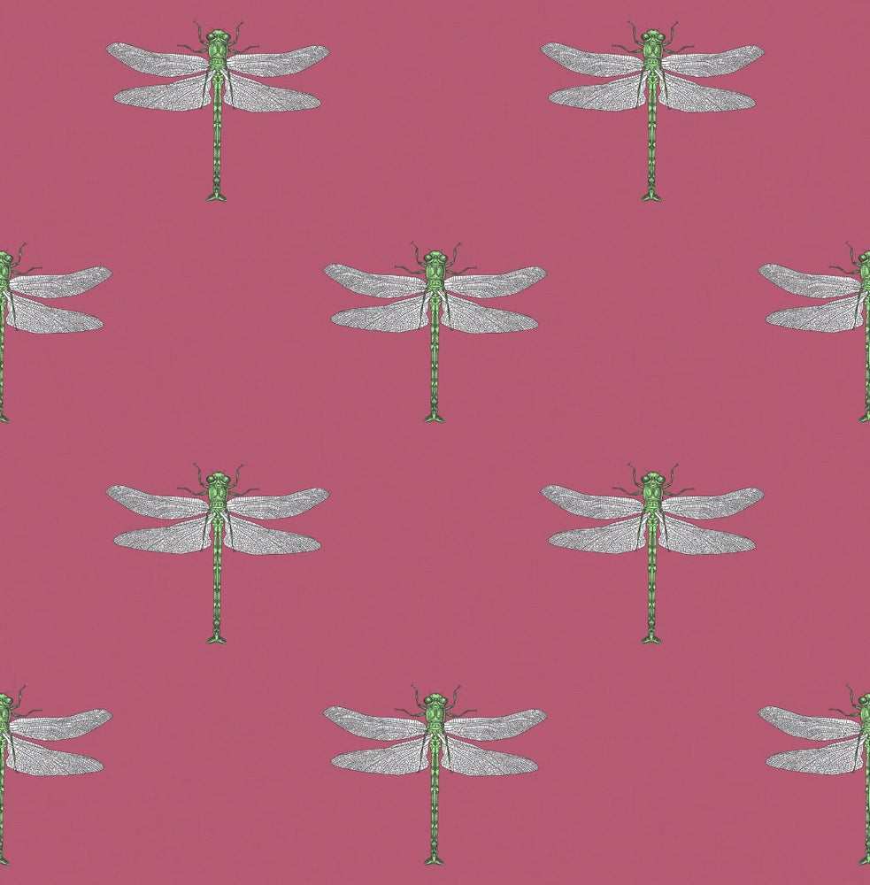 TA20301 Catalina dragonfly wallpaper from the Tortuga collection by Seabrook Designs