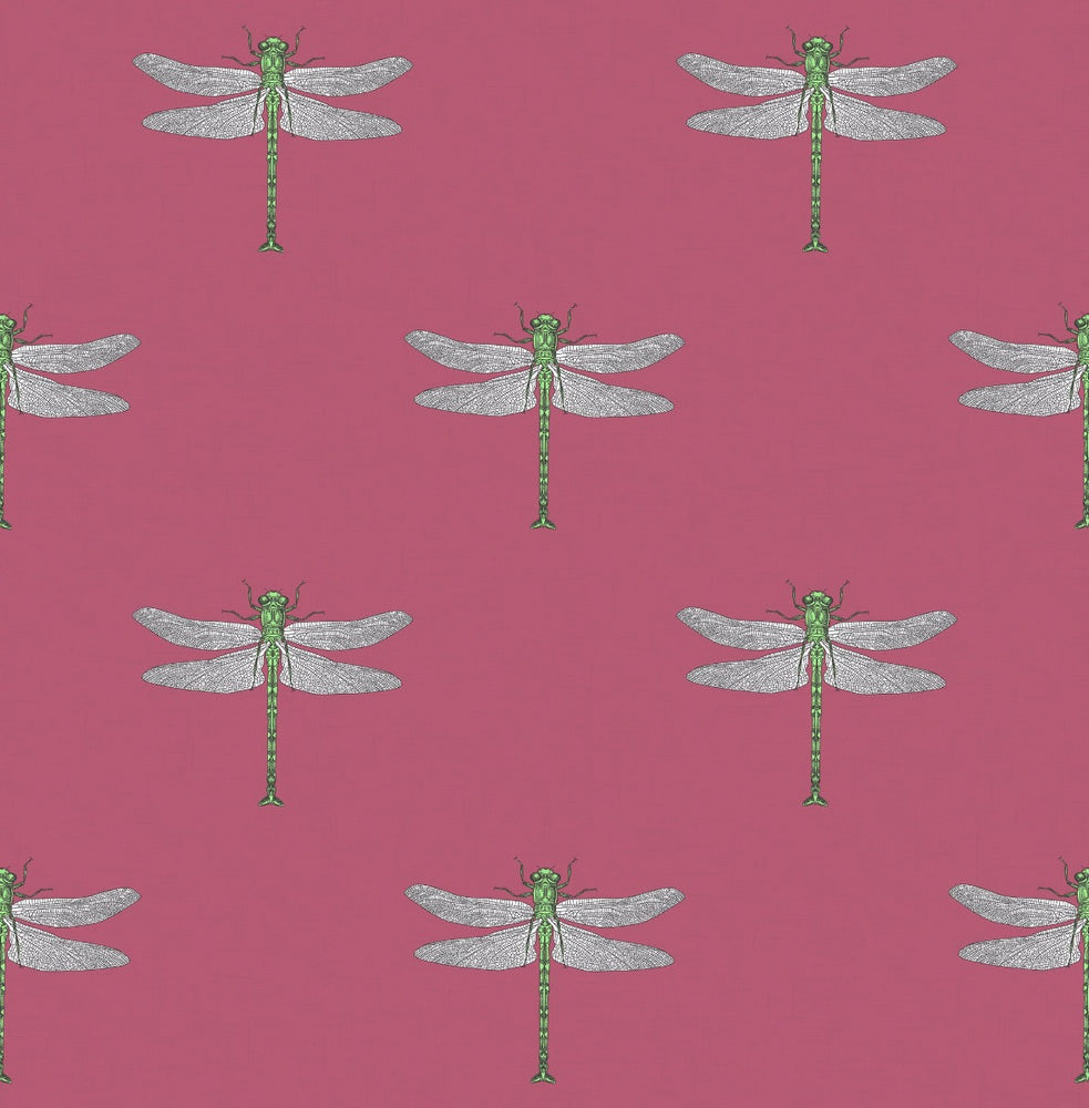 TA20301 Catalina dragonfly wallpaper from the Tortuga collection by Seabrook Designs