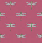 TA20301 Catalina dragonfly wallpaper from the Tortuga collection by Seabrook Designs