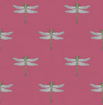 Tortuga Catalina Dragonfly Wallpaper