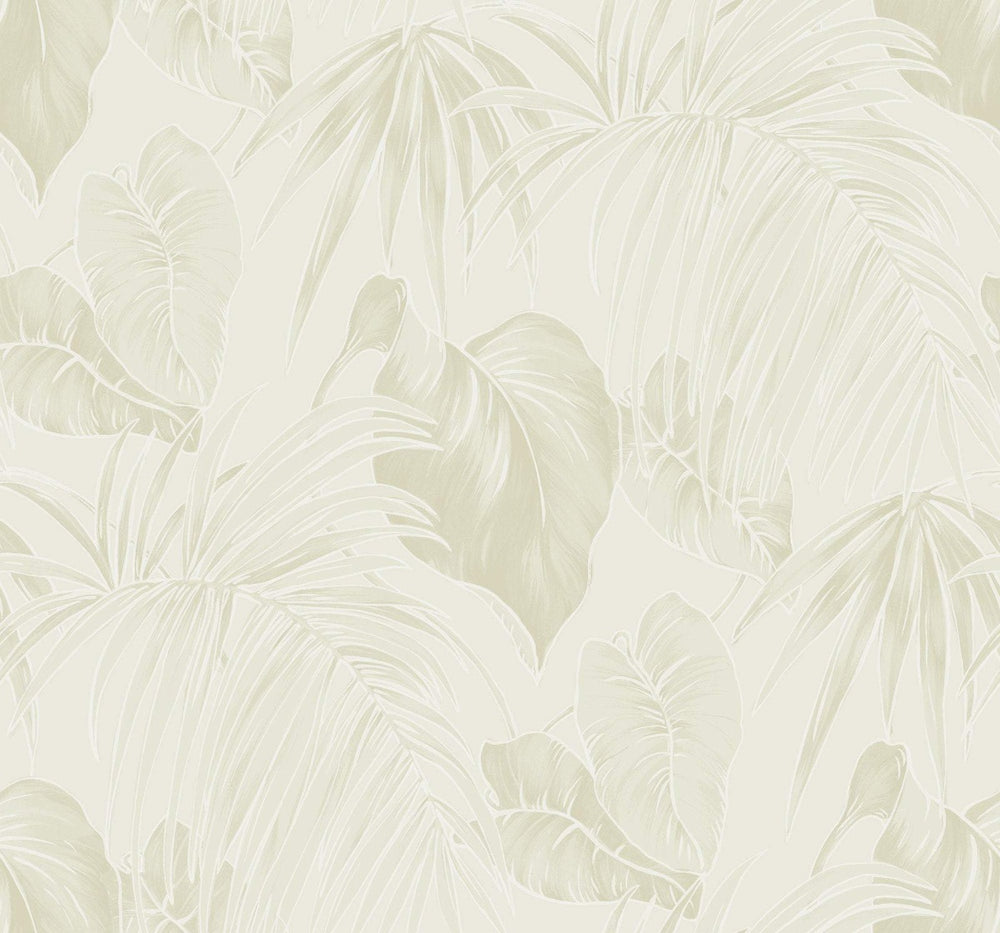 TA21605 dominica tropical leaf wallpaper from the Tortuga collection by Seabrook Designs