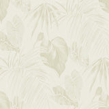 TA21605 dominica tropical leaf wallpaper from the Tortuga collection by Seabrook Designs