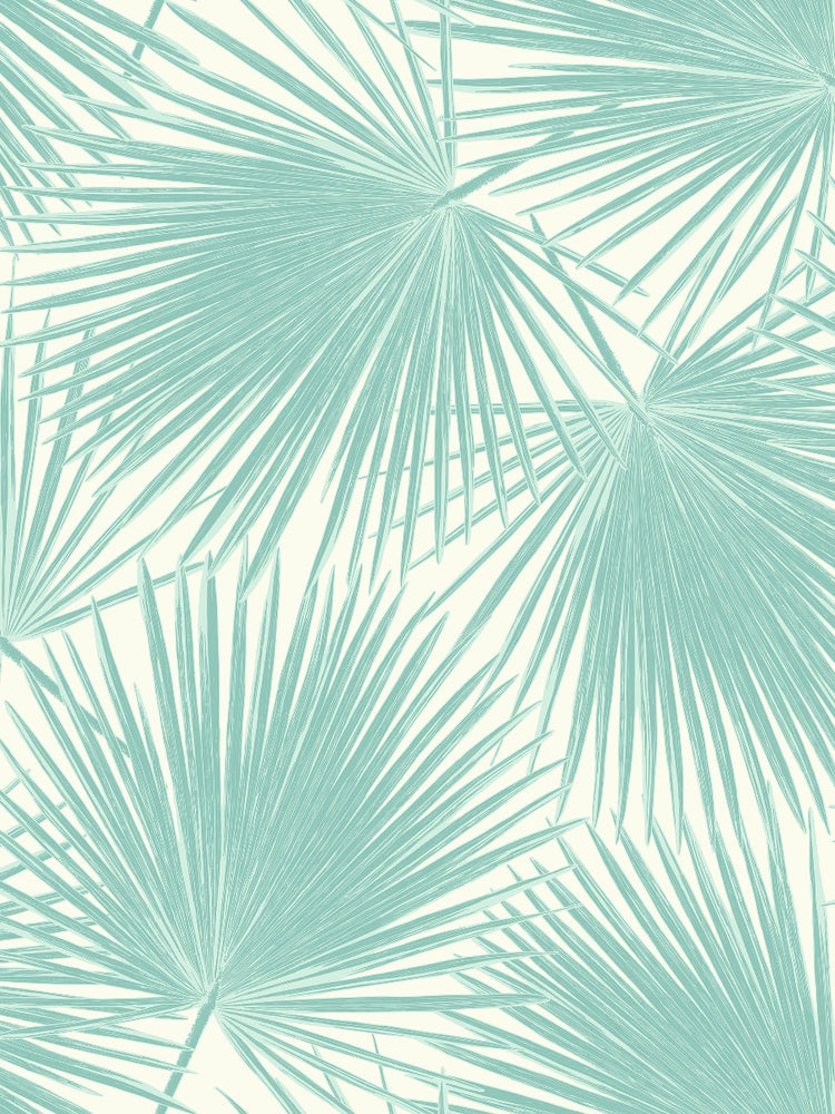 TA20202 aruba palm leaf tropical wallpaper from the Tortuga collection by Seabrook Designs