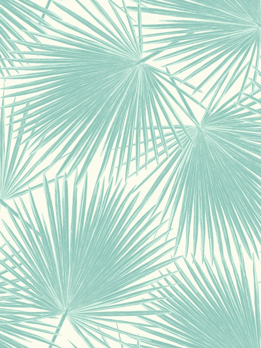 TA20202 aruba palm leaf tropical wallpaper from the Tortuga collection by Seabrook Designs
