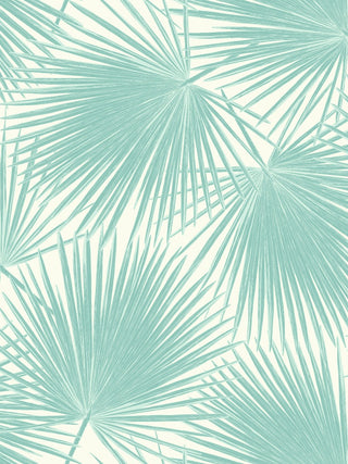 TA20202 aruba palm leaf tropical wallpaper from the Tortuga collection by Seabrook Designs