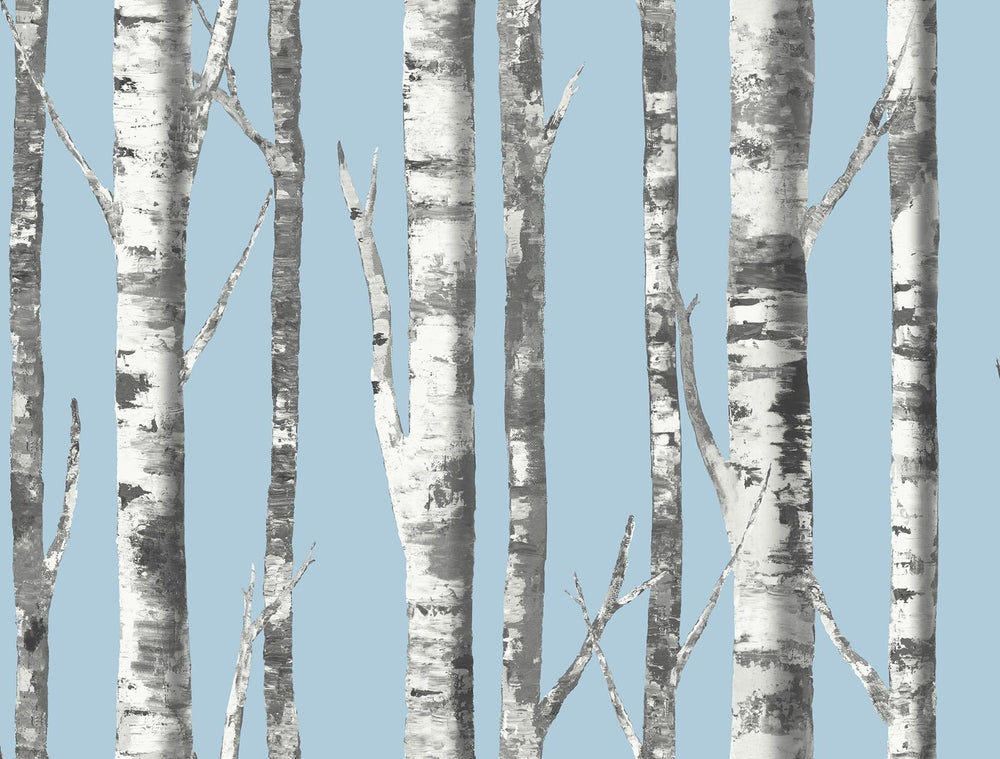 blue birch tree wallpaper