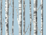 blue birch tree wallpaper