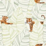 DA61204 hiding tigers animal wallpaper from the Day Dreamers collection by Seabrook Designs