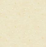AV50615 Hubble dots abstract wallpaper from the Avant Garde collection by Seabrook Designs