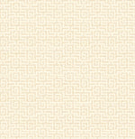 GT21405 topaz maze geometric wallpaper from the Geo collection by Seabrook Designs