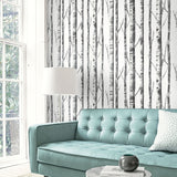 Auriol Rustic Birch Tree Botanical Wallpaper