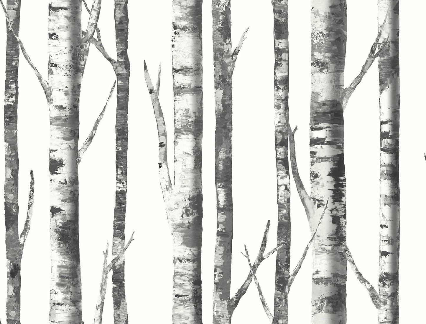 black and white birch tree botanical wallpaper