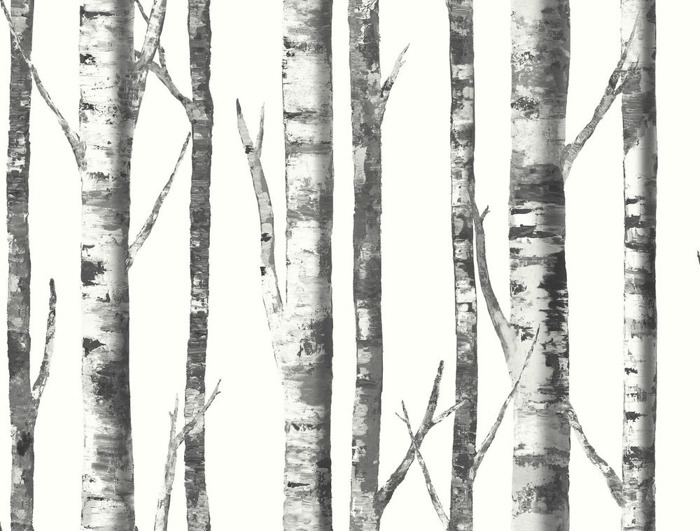 black and white birch tree botanical wallpaper