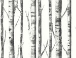 Auriol Rustic Birch Tree Botanical Unpasted Wallpaper