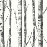 black and white birch tree botanical wallpaper