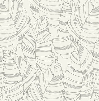 DA61400 jungle leaves botanical wallpaper from the Day Dreamers collection by Seabrook Designs