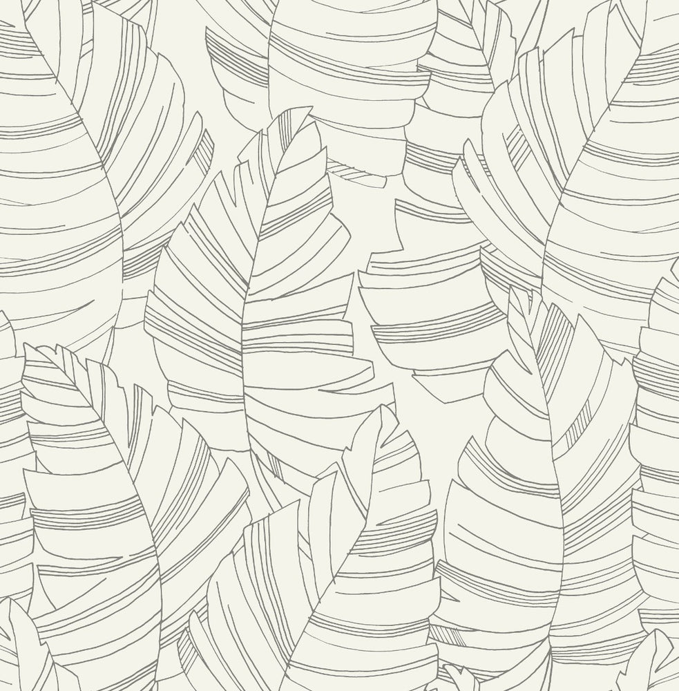Day Dreamers Jungle Leaf Wallpaper