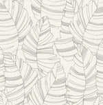 Day Dreamers Jungle Leaf Wallpaper