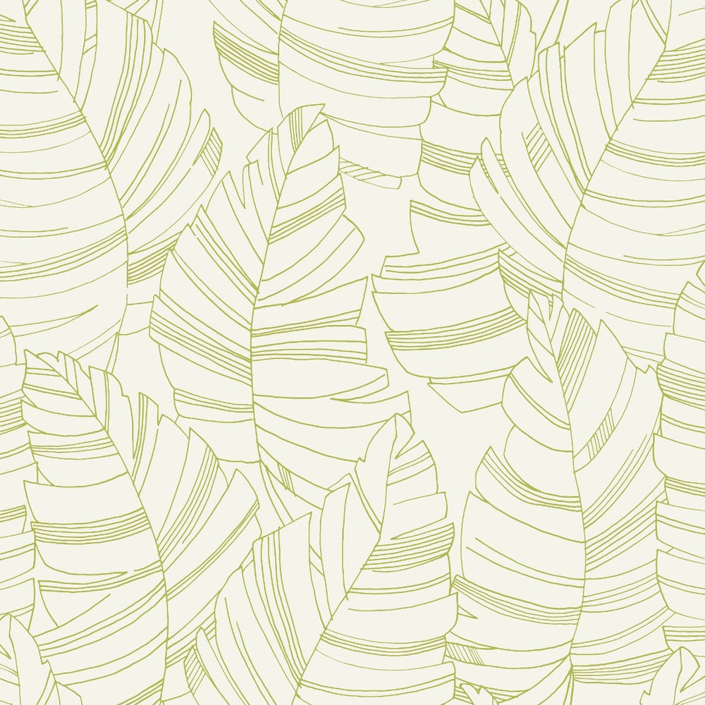 
                  
                    DA61404 jungle leaves botanical wallpaper from the Day Dreamers collection by Seabrook Designs
                  
                