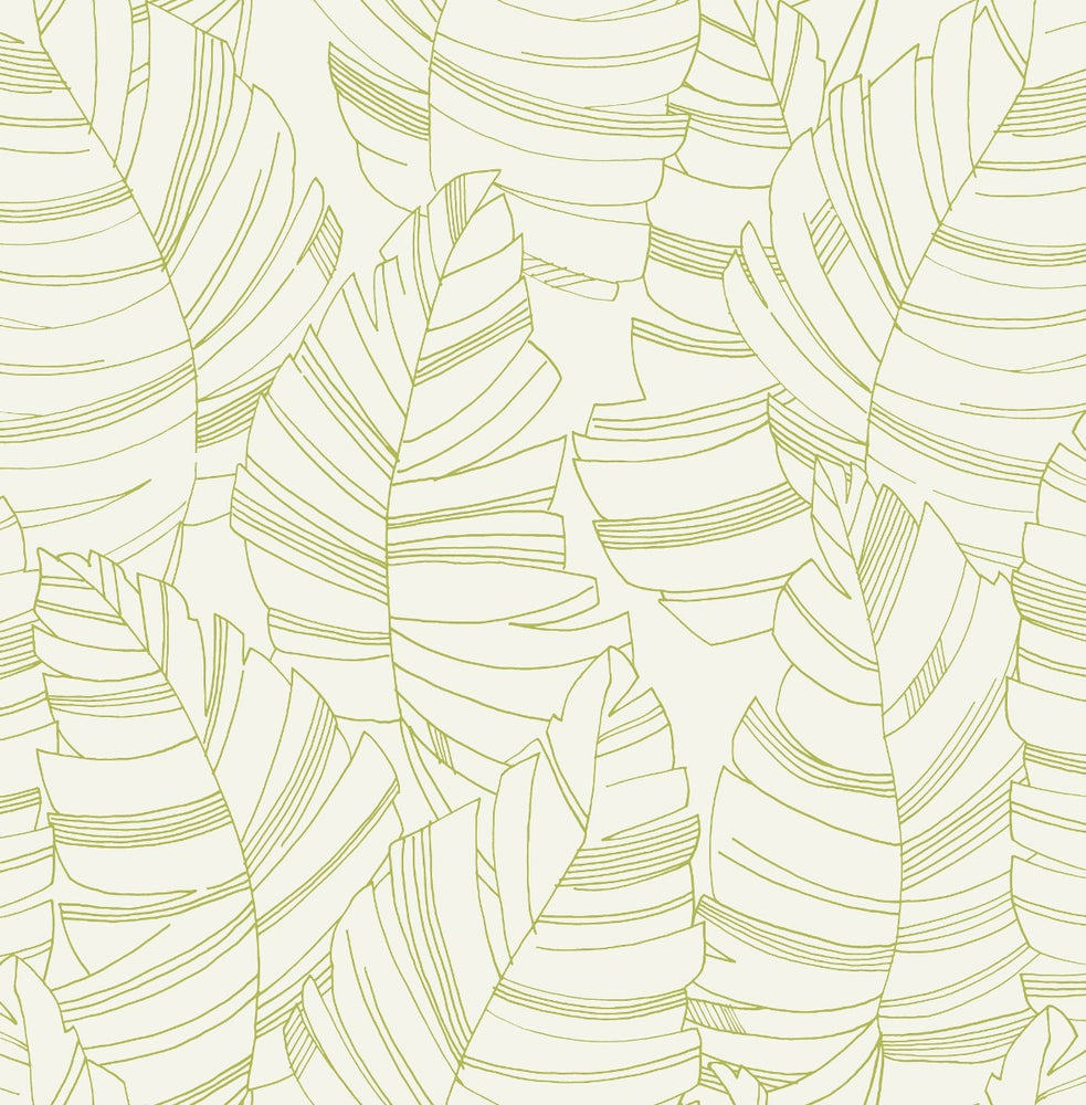 DA61404 jungle leaves botanical wallpaper from the Day Dreamers collection by Seabrook Designs