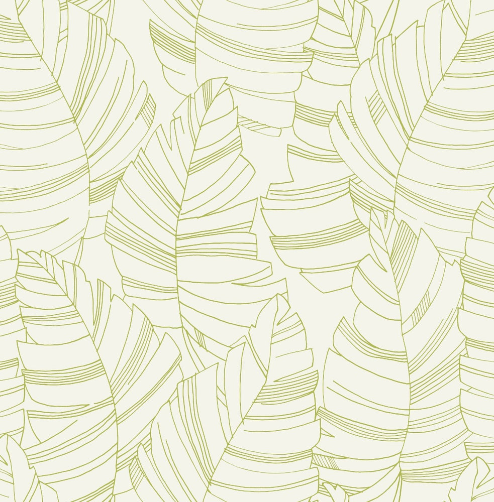 DA61404 jungle leaves botanical wallpaper from the Day Dreamers collection by Seabrook Designs