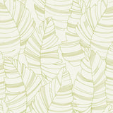 DA61404 jungle leaves botanical wallpaper from the Day Dreamers collection by Seabrook Designs