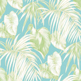 TA21602 dominica tropical leaf wallpaper from the Tortuga collection by Seabrook Designs