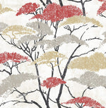 Koi Confucius Tree Wallpaper