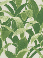 AI40304 Imperial banana leaf wallpaper from the Koi collection by Seabrook Designs