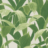 AI40304 Imperial banana leaf wallpaper from the Koi collection by Seabrook Designs