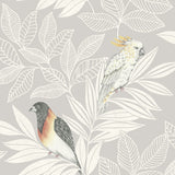 RY30100 paradise island birds bohemian wallpaper from the Boho Rhapsody collection by Seabrook Designs