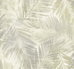 LG90908 Kentmere palm leaf botanical wallpaper from the Lugano collection by Seabrook Designs