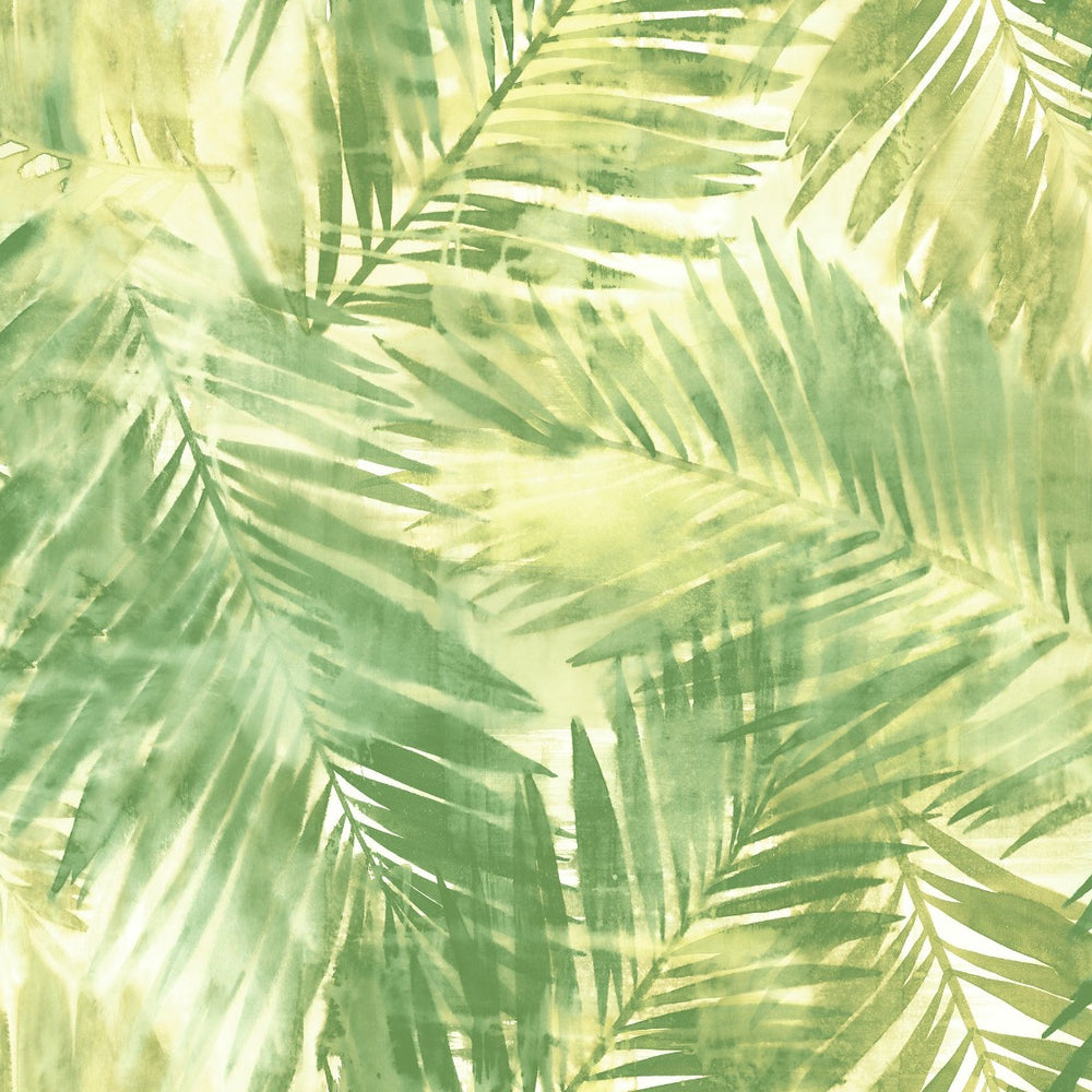 
                  
                    LG90904 Kentmere palm leaf botanical wallpaper from the Lugano collection by Seabrook Designs
                  
                