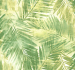 LG90904 Kentmere palm leaf botanical wallpaper from the Lugano collection by Seabrook Designs
