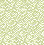 SD80118CH Sophia confetti spot polka dot wallpaper