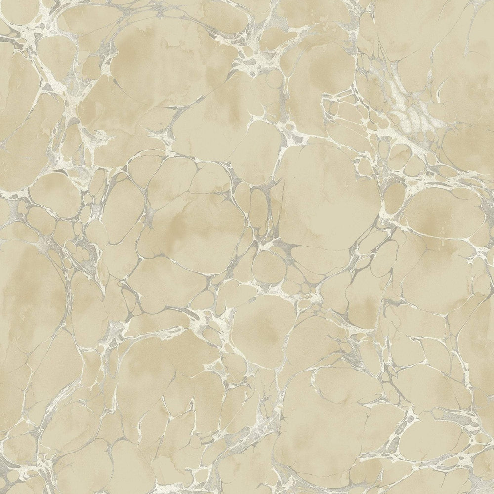 
                  
                    MK21108 patina marble crackle wallpaper from the Metallika collection by Seabrook Designs
                  
                