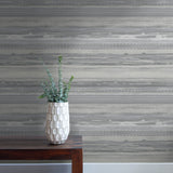 RY31310 horizon brushed stripe wallpaper from the Boho Rhapsody collection by Seabrook Designs
