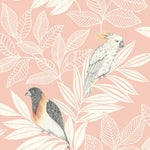Boho Rhapsody Paradise Island Birds Bohemian Unpasted Wallpaper