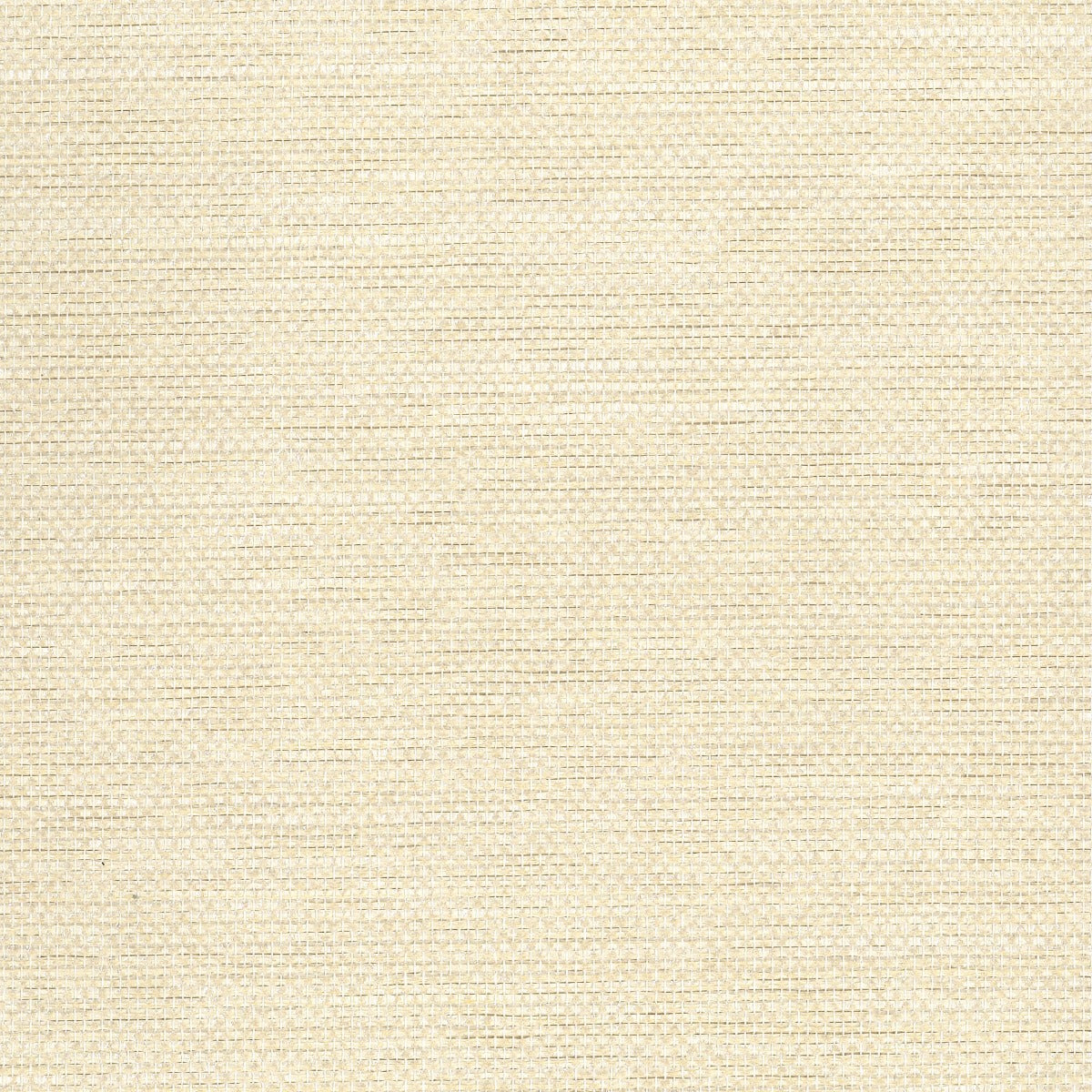 NA509 ivory paperweave grasscloth wallpaper from Say Decor