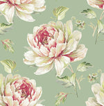 CR21304 Jarrow peony floral wallpaper from the Island collection by Carl Robinson