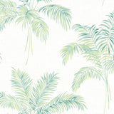 CR20204 jacob palm tree wallpaper from the Island collection by Seabrook Designs