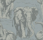 Island Jefferson Elephant Wallpaper