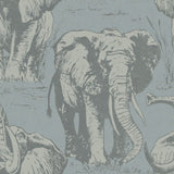 CR22102 Jefferson elephant wallpaper from the Island collection by Carl Robinson
