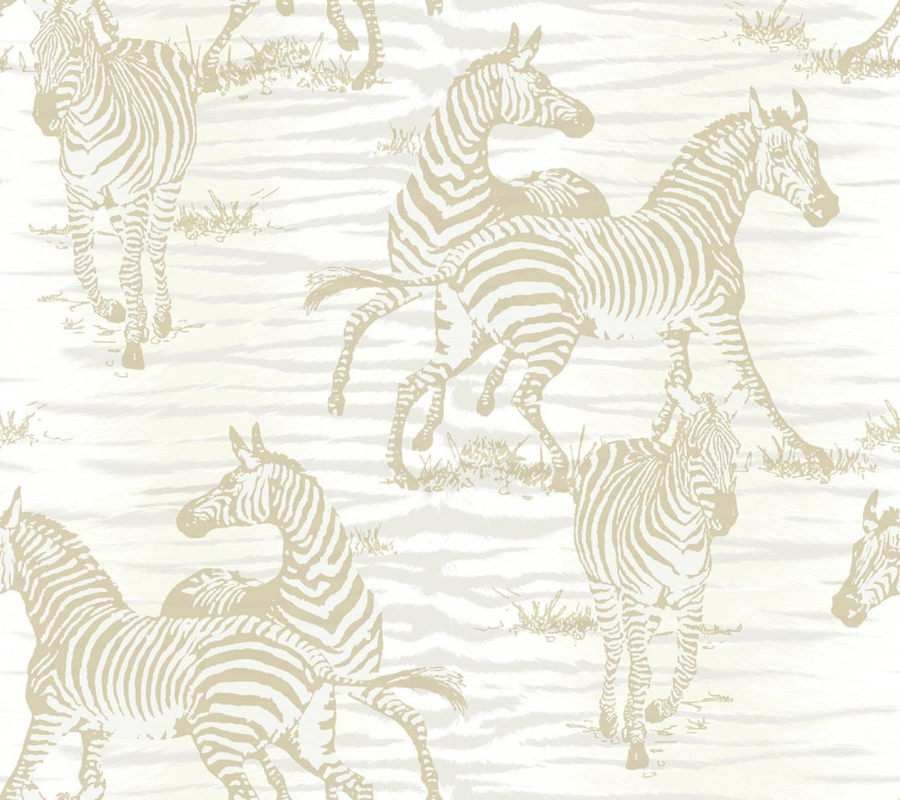 CR20505 jarvis zebra animal wallpaper from the Island collection by Carl Robinson